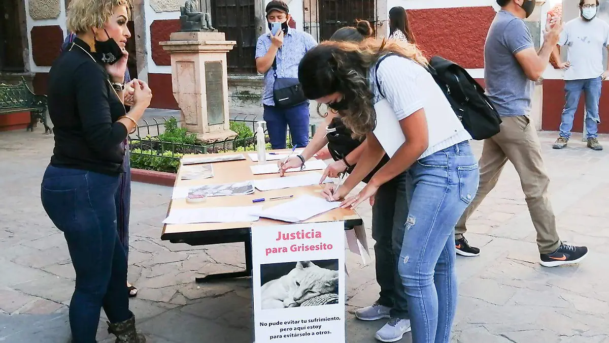 Mesas de firmas de ciudadanos